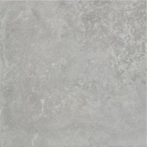 Gạch lát sàn Trường Thịnh GENESIS SERIES BR55E13